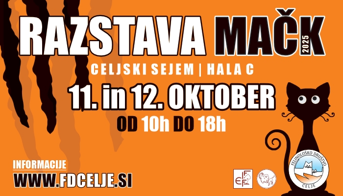 Razstava mačk - Celjski sejem, dvorana C V Celu dogaja