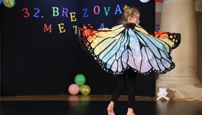 33. brezova metla