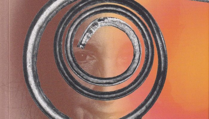 Literarni večer s Tatjano Plevnik