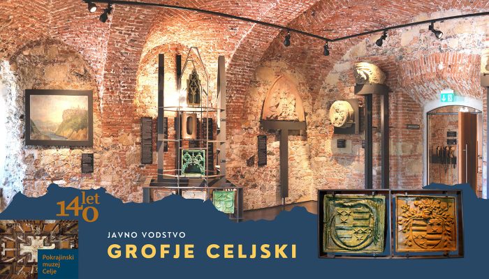 Grofje Celjski
