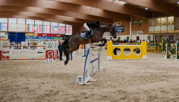 Pokal Slovenije v dresurnem jahanju