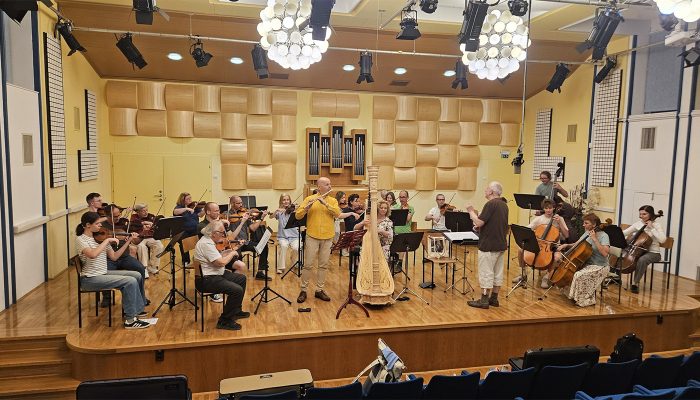 5. abonmajski koncert: Celjski godalni orkester