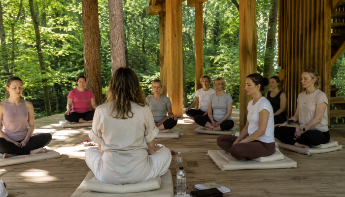 Joga in meditacija