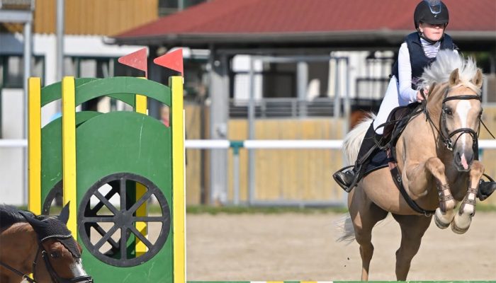 Tekmovanje za Pokal Slovenije v preskakovanju ovir