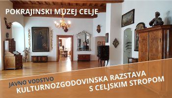 Kulturnozgodovinska razstava s Celjskim stropom
