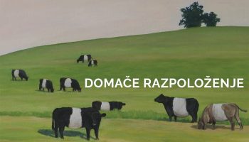 Sara Štorgel: Domače razpoloženje