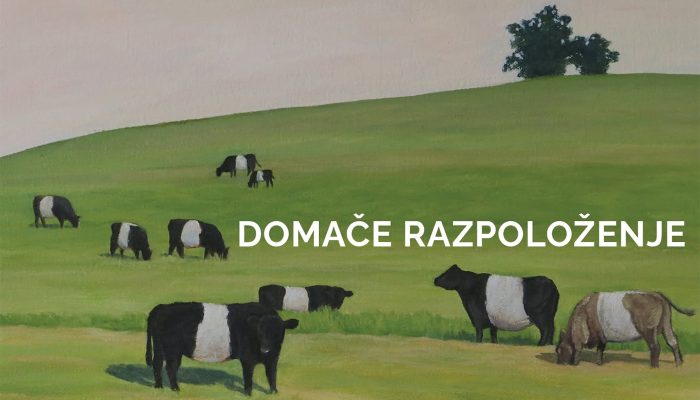 Sara Štorgel: Domače razpoloženje