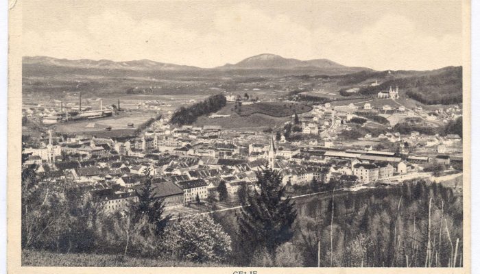 Z Almo in Boženo po Celju z okolico