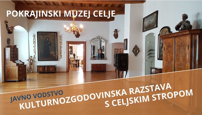 Kulturnozgodovinska razstava s Celjskim stropom