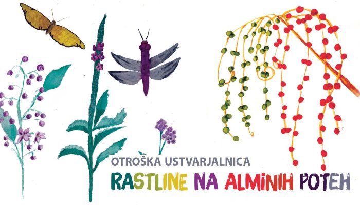 Rastline na Alminih poteh