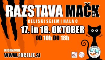 Razstava mačk