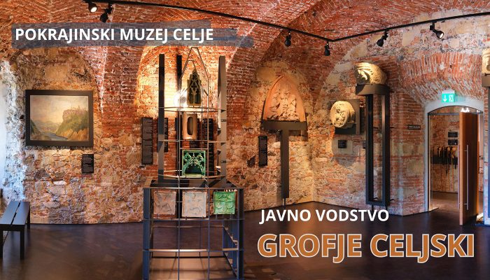 Grofje Celjski